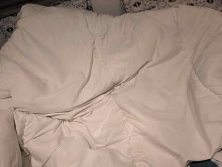 Photo of free Double bed duvet and 4 pillows (Canley CV4) #1
