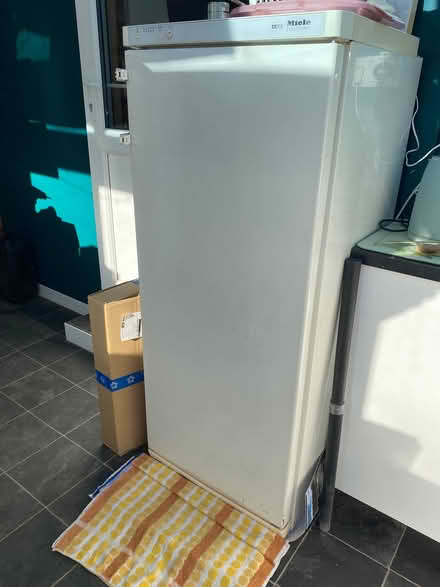 Photo of free Upright Miele Freezer (Wormbridge HR2) #2