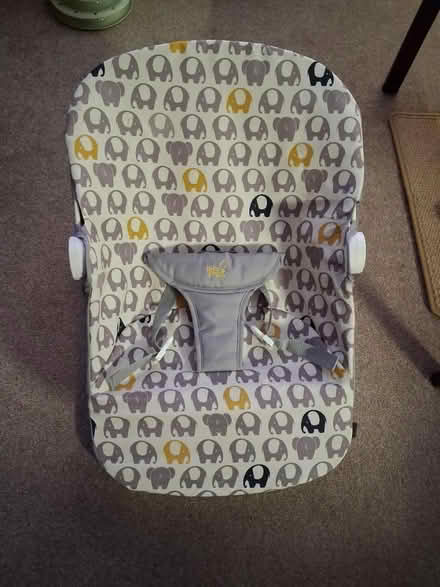 Photo of free Baby bouncer chair (Whitley, CV3) #1