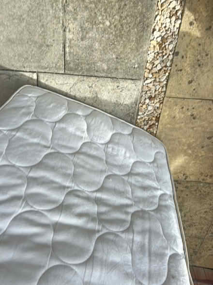 Photo of free Single mattress (OX14 Sutton Courtney) #3