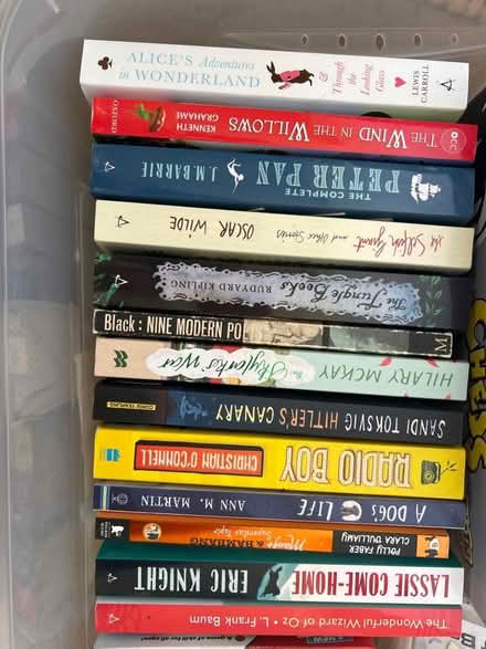 Photo of free Older Kids Books (Little Chalfont HP8) #1