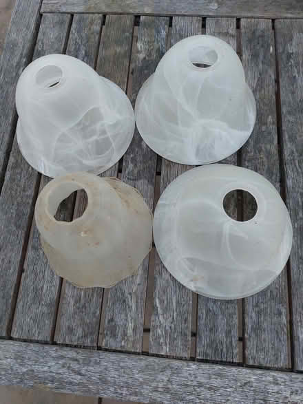 Photo of free Retro glass lampshades (Allestree DE22) #1