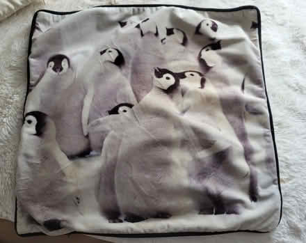Photo of free Penguin Cushion Cover (RG23 Winklebury) #1