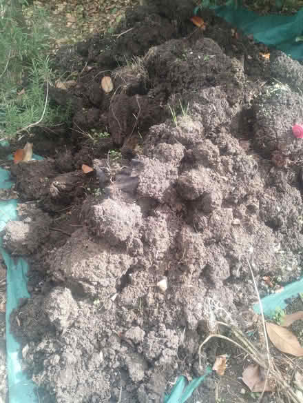 Photo of free Topsoil (Dean Court OX2) #1