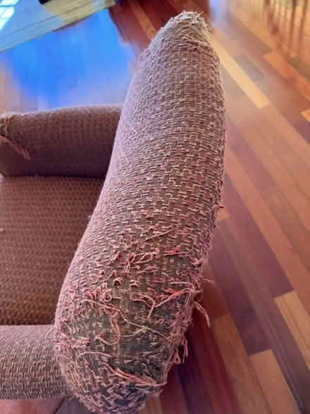 Photo of free Two Armchairs (Canton) #2