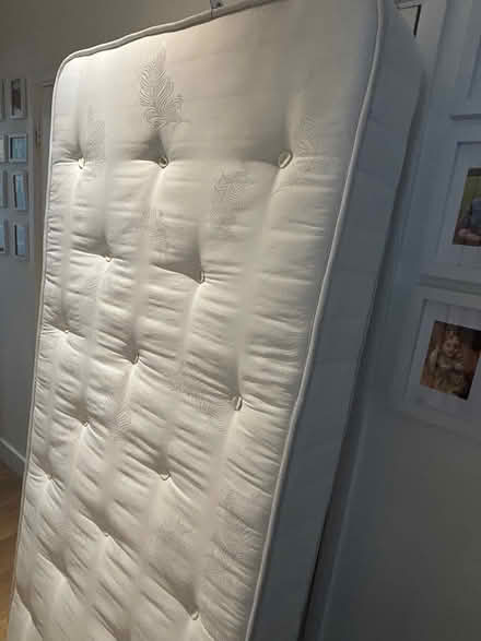 Photo of free One pink single bed and mattress (SE12) #2