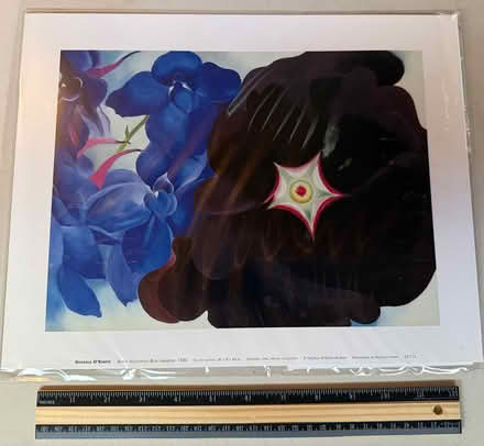 Photo of free Georgia O’Keefe Print (Terra Linda) #1