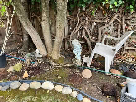 Photo of free Garden pots! Many (Novato) #3