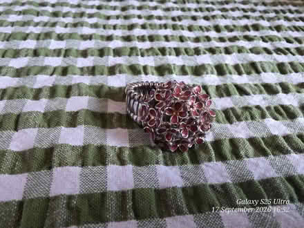 Photo of free Flower ring (spondon DE21) #1
