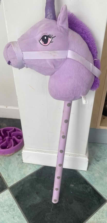 Photo of free Purple hobby horse (Horningsea CB25) #3
