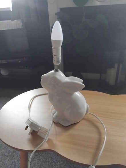 Photo of free Rabbit lamp (Lowedges. S8) #1