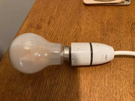Photo of free Bulb with wire casing (Dublin) #3
