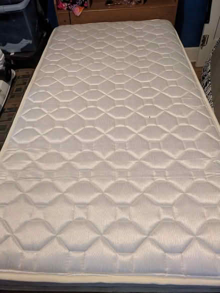 Photo of free Twin mattress (Central area) #1