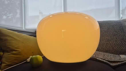 Photo of free Globle lamp (L22) #1