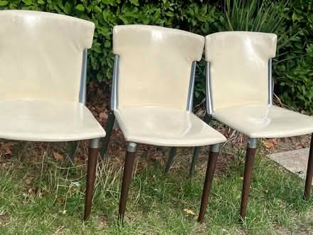 Photo of free White chairs (Purley CR8) #2