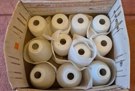 Photo of free Frosted glass light shades (Newton Mearns G77) #4