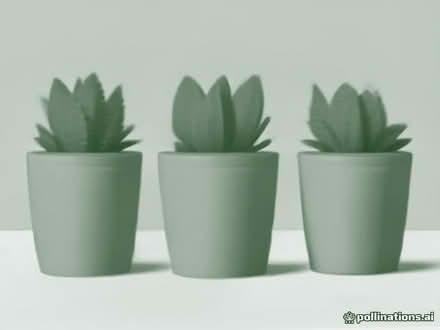 Photo of All Sizes Terracotta Pots, Preferably Outdoor Ones (Broomhall S10) #1