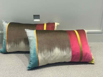 Photo of free Cushions (Chiswick W4) #1