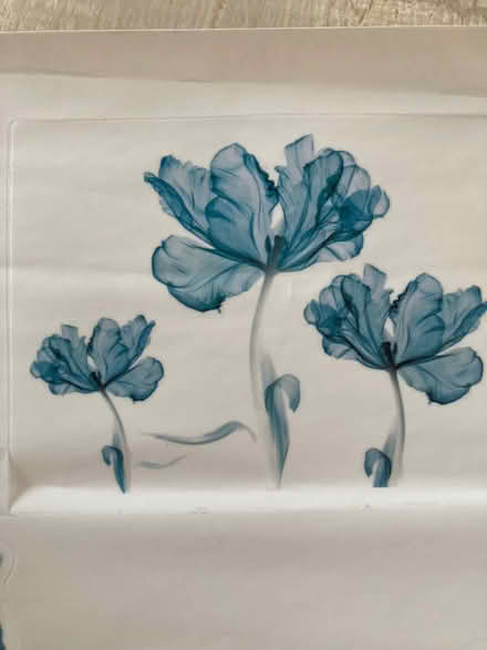 Photo of free Wall decals large blue (Wallands Park BN7) #1