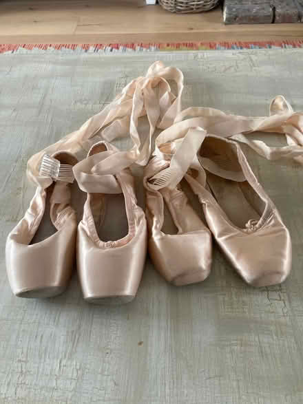 Photo of free Old pointe shoes for crafts (Wallands Park BN7) #1