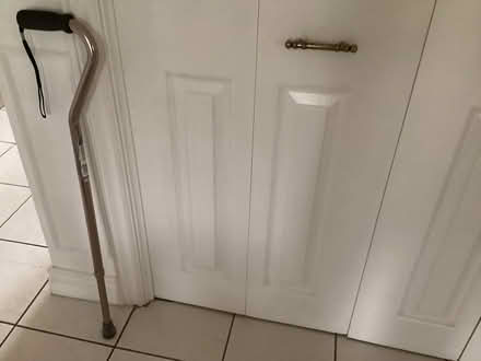 Photo of free Walking Cane (Bloor W/ Mill Rd) #1