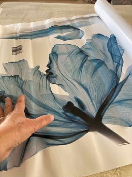 Photo of free Wall decals large blue (Wallands Park BN7) #2