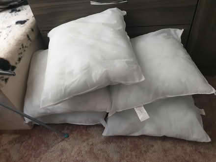 Photo of free 5 Brand New Cushion Inners (toxteth L8) #1