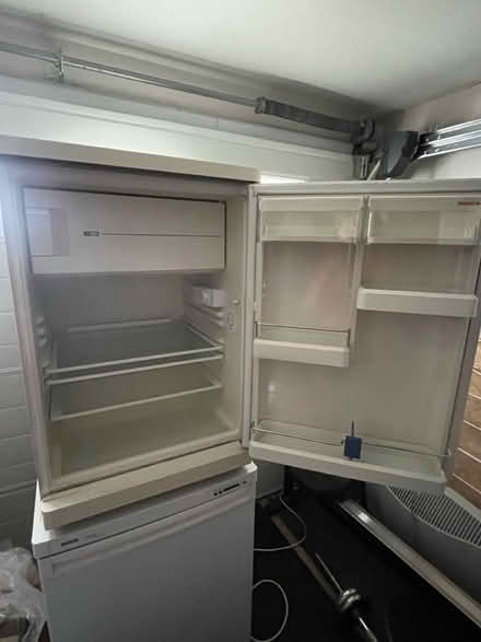 Photo of free Under Worktop Fridge Bosch (Oxted RH8) #2