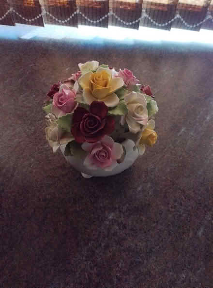 Photo of free China rose bowl (Harnage SY5) #1