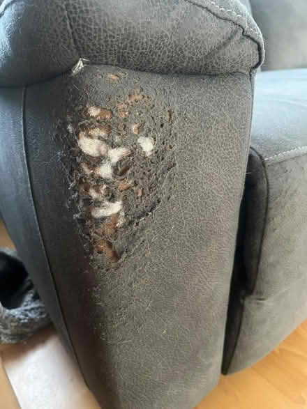 Photo of free Electric recliner sofa (Lu55hn) #2