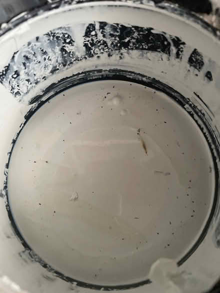 Photo of free Paint (Langley SL3) #2