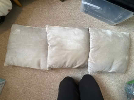 Photo of free 3x cream cushions (Walderslade ME5) #1