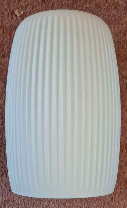 Photo of free Frosted glass light shades (Newton Mearns G77) #3
