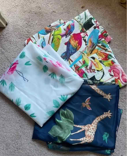 Photo of free 3 shower curtains (Garthdee AB10) #1