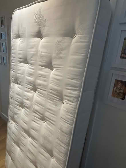 Photo of free One pink single bed and mattress (SE12) #3