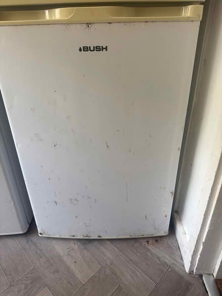 Photo of free Fridge and freezer (B26) #1