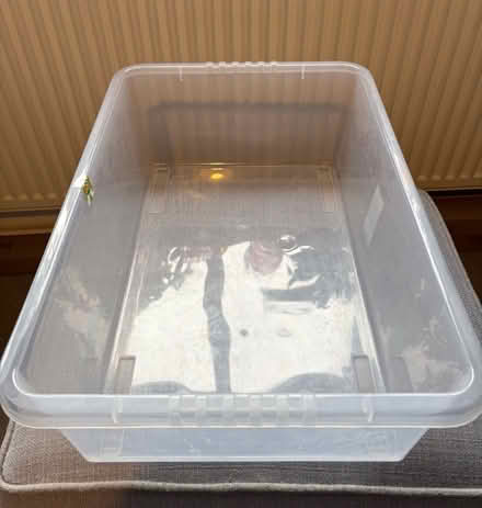 Photo of free Plastic under bed box (Erith DA17) #1