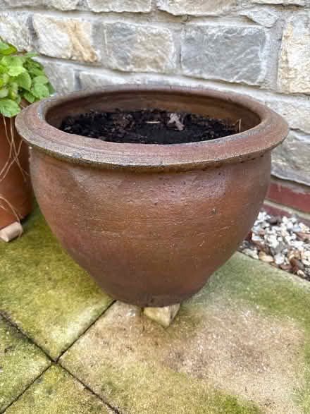 Photo of free 4 Garden pots, 2 containing shrubs (Nailsea BS48) #1