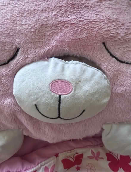 Photo of free Happy Knapper girls sleeping bag (Sawbridgeworth, CM21) #2