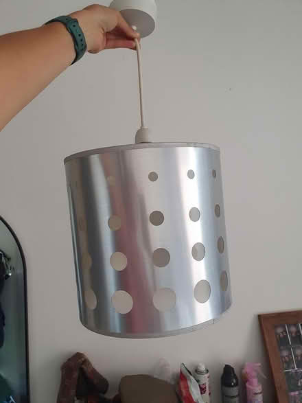 Photo of free Ceiling lamp / lamp shade (Dalston, E8) #2
