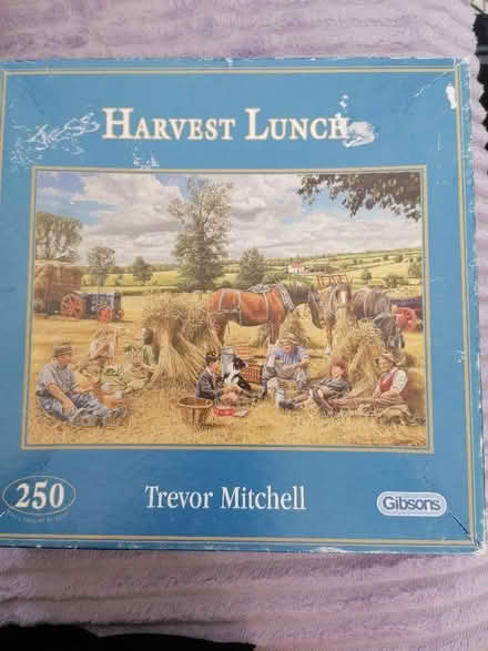 Photo of free 250 piece Jigsaw Puzzle (Presteigne LD8) #2