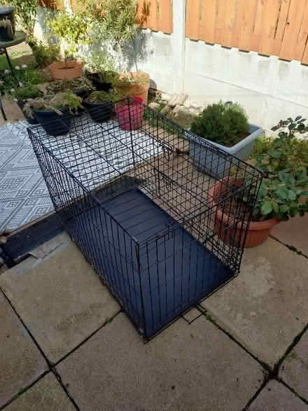 Photo of free Puppy crate (Grimethorpe S72) #3