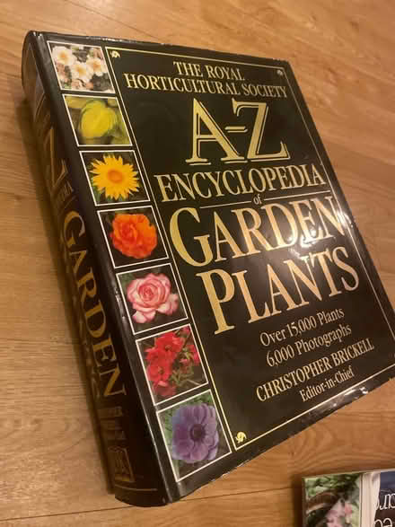 Photo of free Garden plants a-z (Diglis WR5) #1
