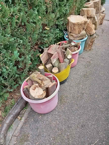 Photo of free Wood for Log Burner (Cropston) #2