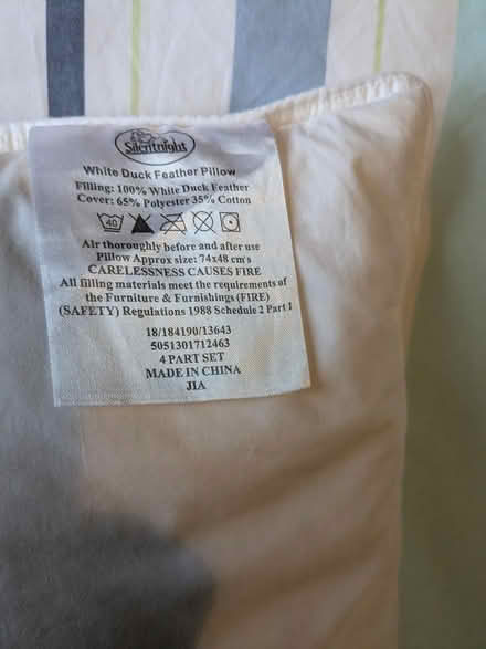 Photo of free 3 Duck feather pillows (Edinburgh EH7) #2