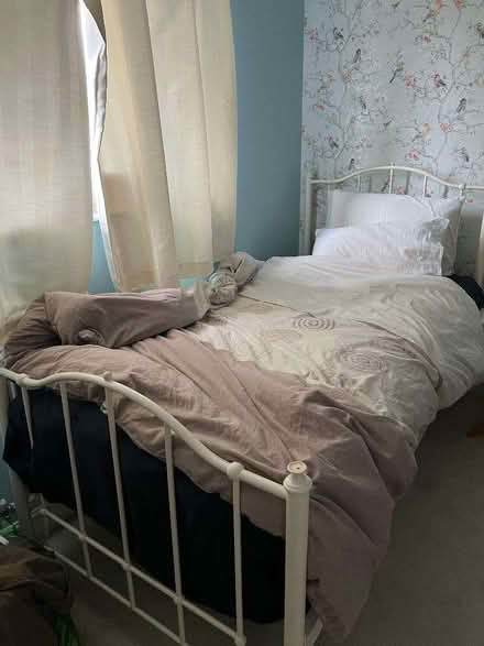 Photo of free Single Bed + Single Mattress (North Herts SG4) #1