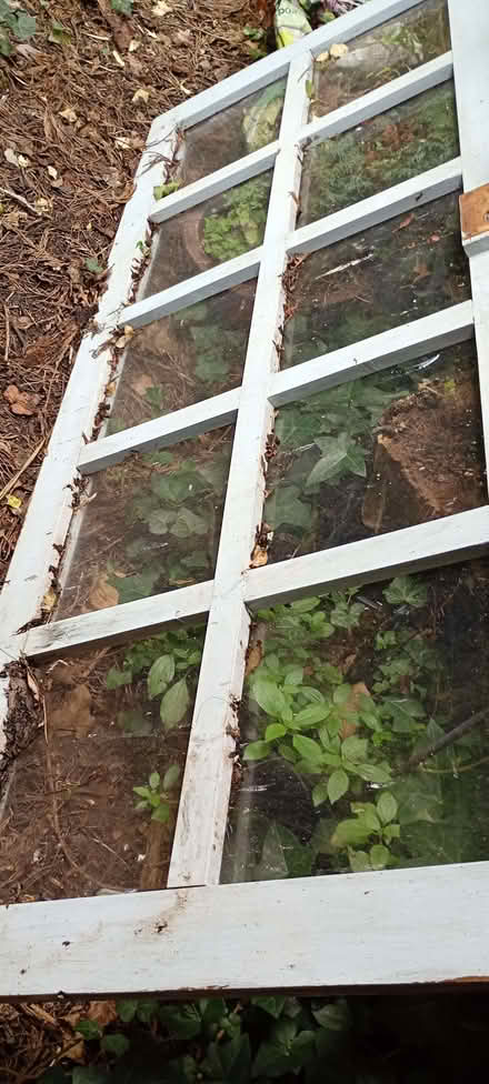 Photo of free Windows doors (Prestatyn LL19) #2