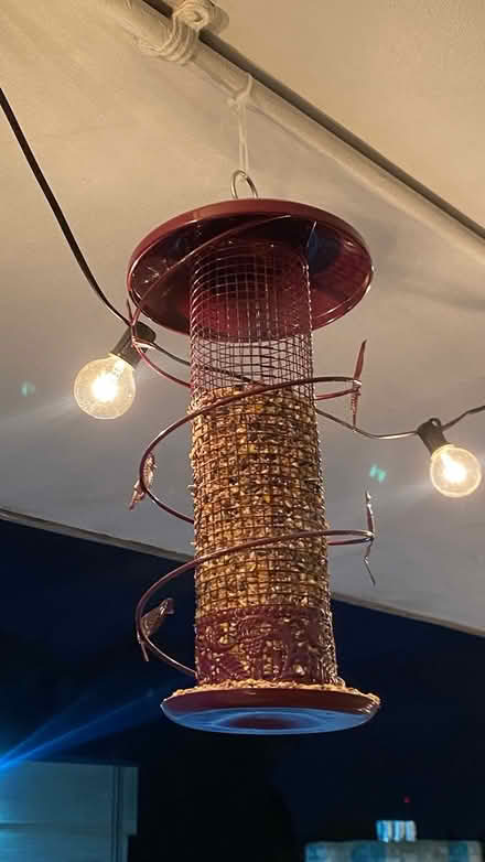 Photo of free Bird feeder (Kilburn W10) #1