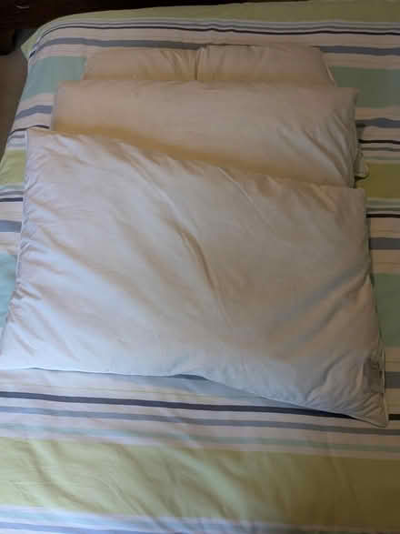Photo of free 3 Duck feather pillows (Edinburgh EH7) #1
