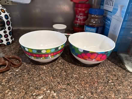 Photo of free 2 plastic bowls (Riverdale, Bronx, New York) #2